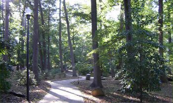 Bicycle Cityʥ᡼, www.bicyclecity.com