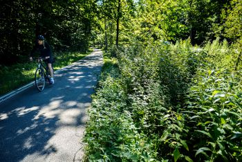 CIVITAS Handshake project