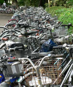 ɬ�������դ�