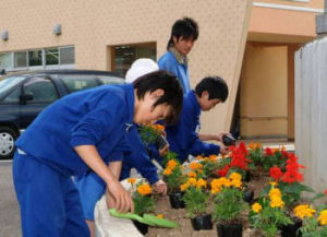 草花の魅力