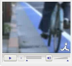 �ԣ£ӥ˥塼��