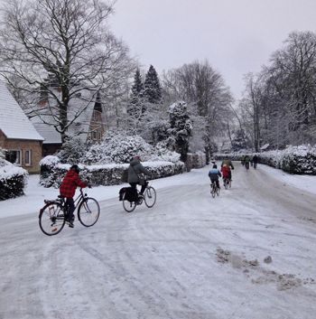 Bike spikes, www.cesarvanrongen.nl