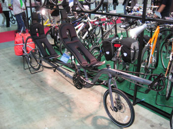 ǥΥꥫ٥ȡȥ졼顼դ