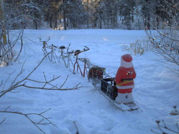 Christmas Reindeer, www.instructables.com