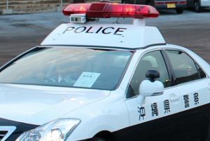 ��ž�֤�Ҥ�ƨ��