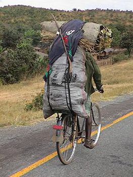 Re~Cycle