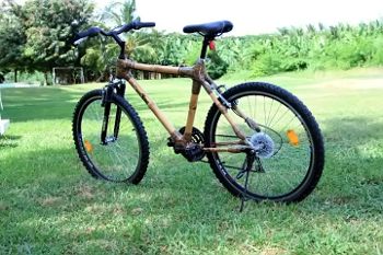 Ghana Bamboo Bikes Initiative