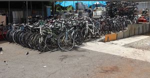 ��ž����