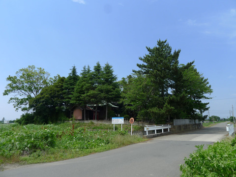 P1400788