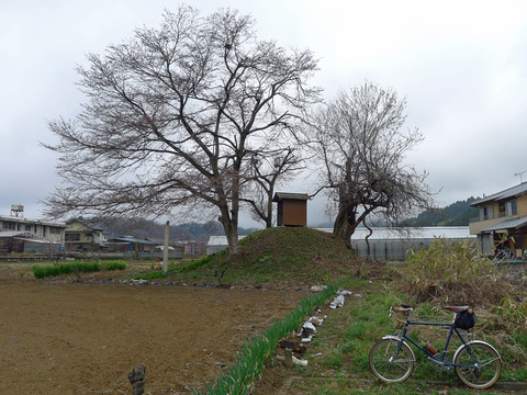 P1440506