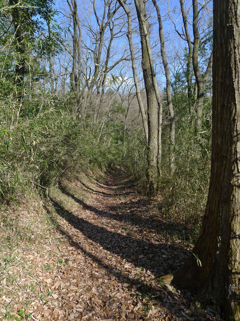 P1420401