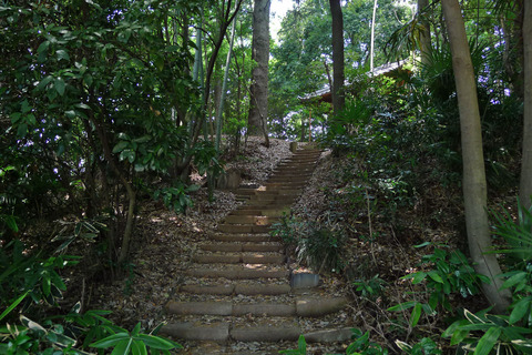 P1400726