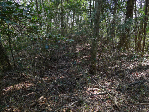 P1420379