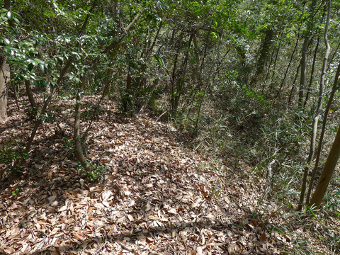 P1420363
