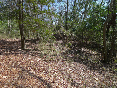 P1420512-5