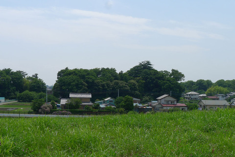 P1400729