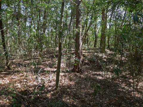 P1420477-2