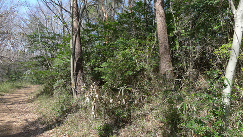 P1420558-6