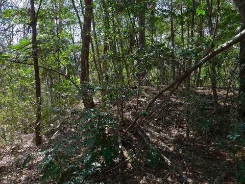 P1420479-2