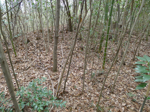 P1420338