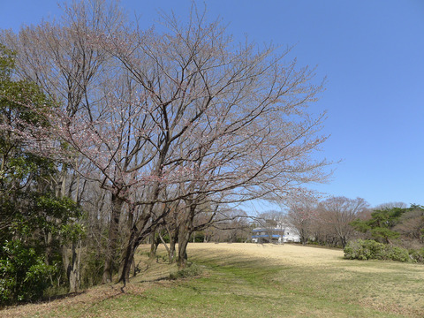 P1420459