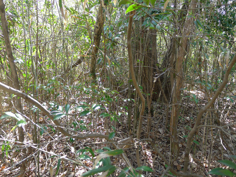 P1420540-1