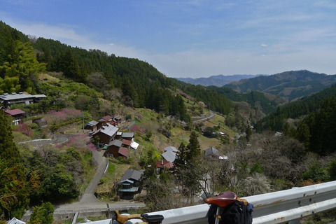 P1440695