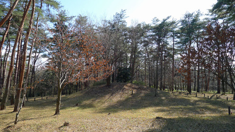 P1420411