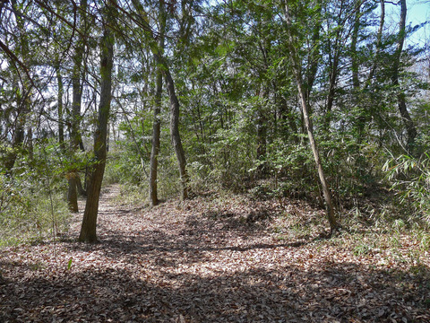 P1420522-6