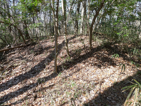 P1420385