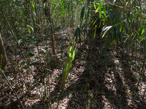 P1420535-4