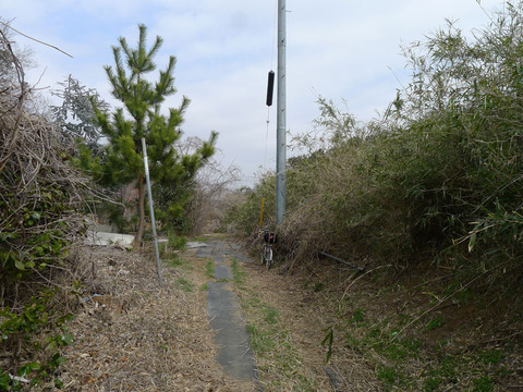 P1380802