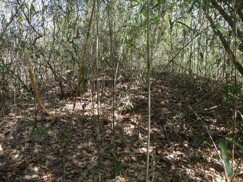 P1420509-2