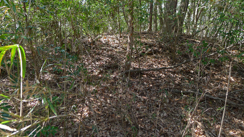 P1420503-7