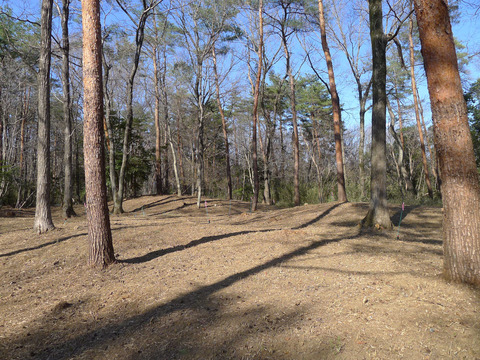 P1420420-5or6