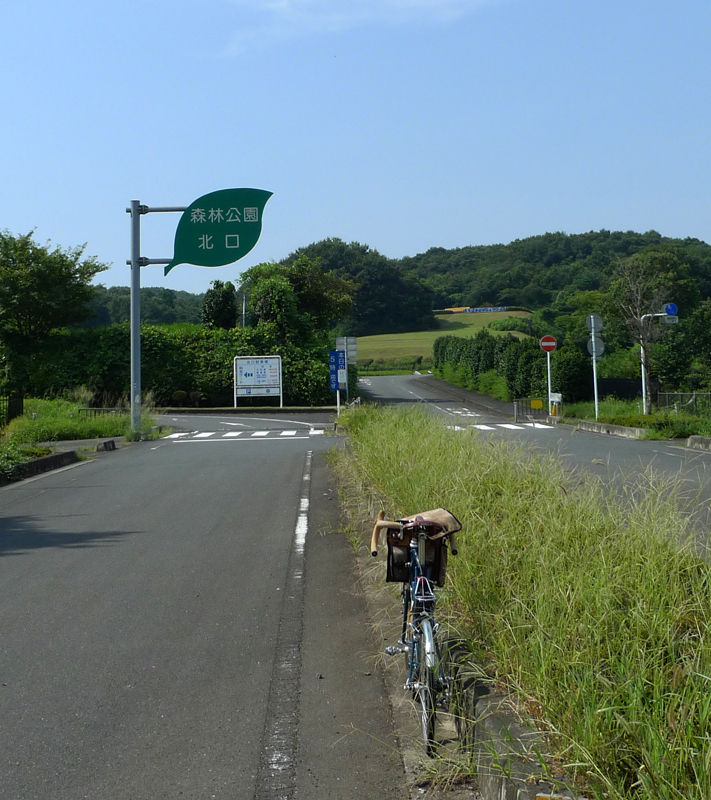 森林公園 周回 451のミニベロ