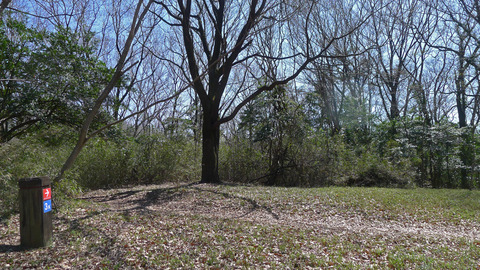 P1420496-8