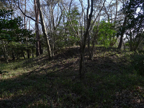 P1420425-10
