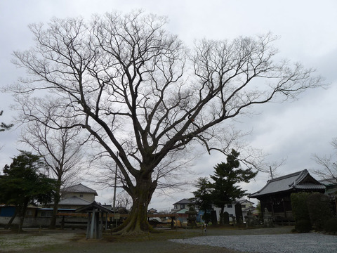 P1380456
