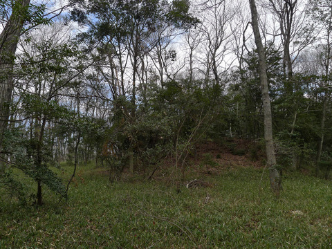 P1420320