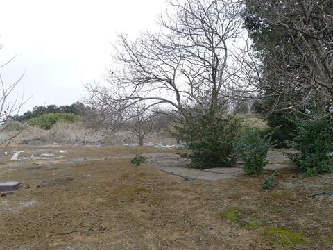 P1380808