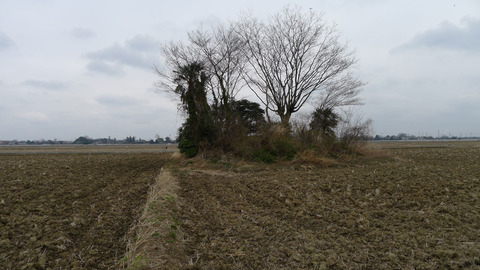 P1380469