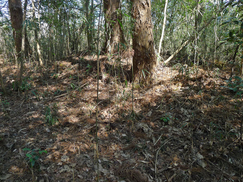 P1420481-3or4
