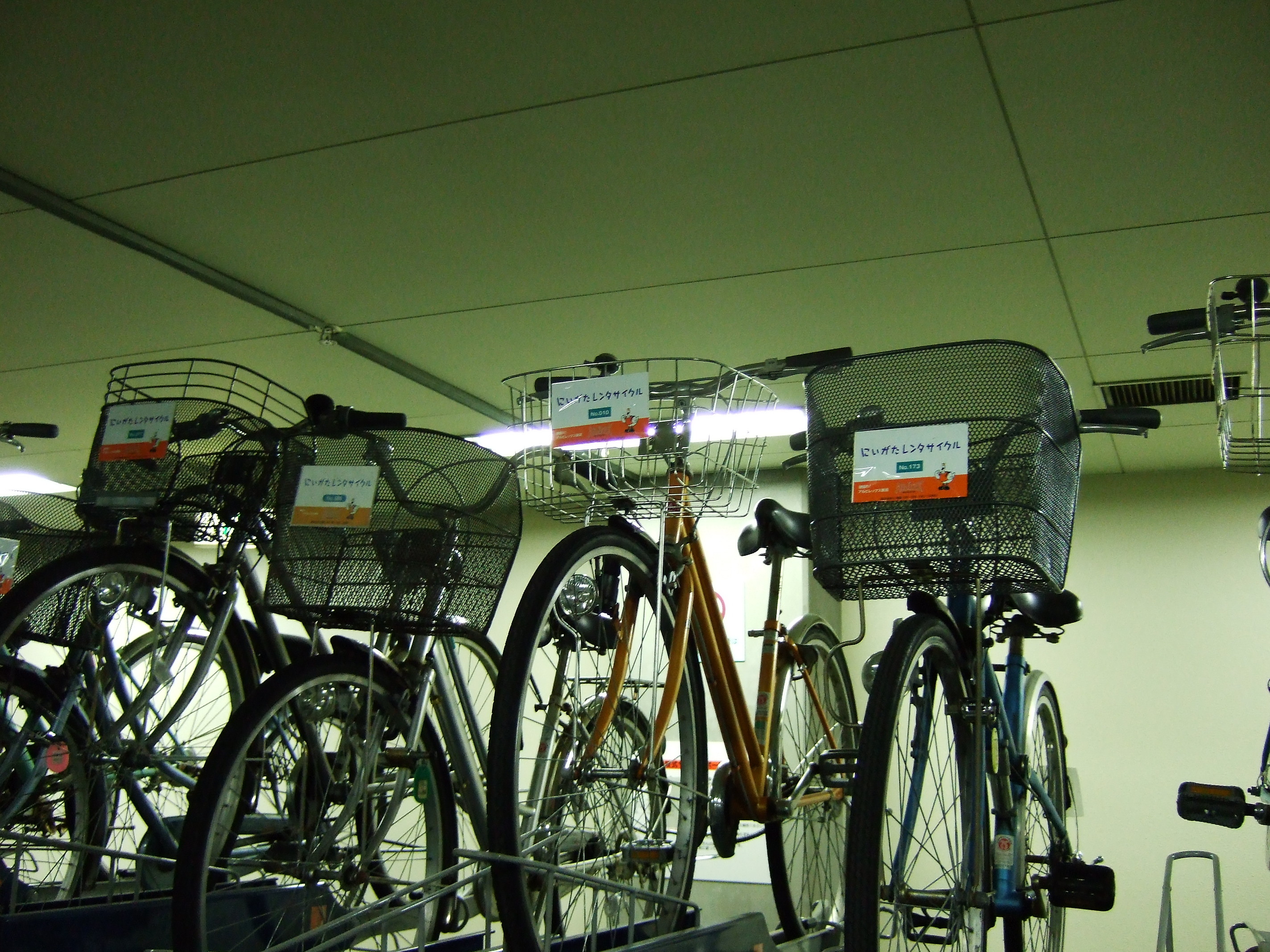 新潟その2 : 貸自転車