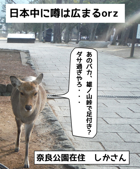 20170121-34