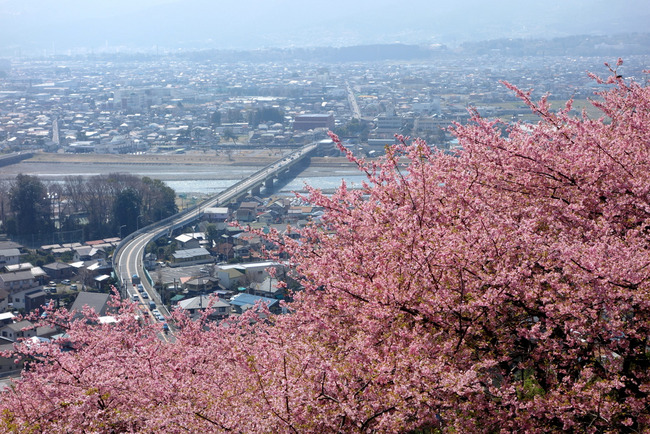 松田山