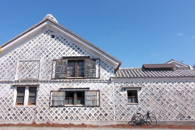 南伊豆河津桜-020