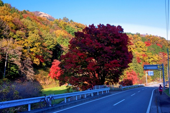 箱根紅葉狩り-010