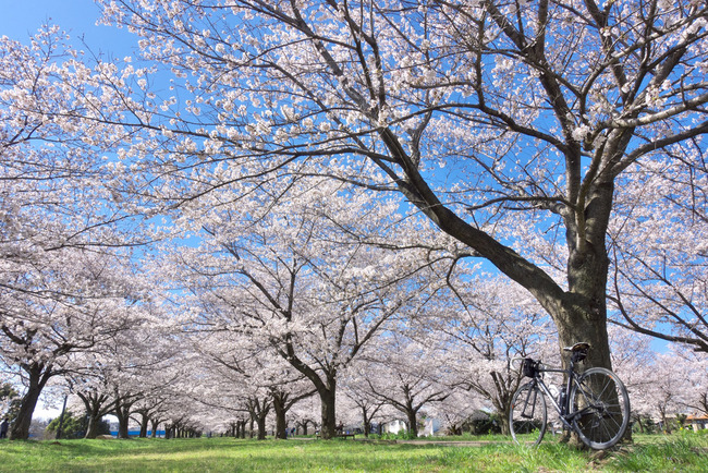 入間川越