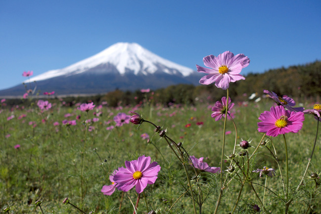 富士山-005